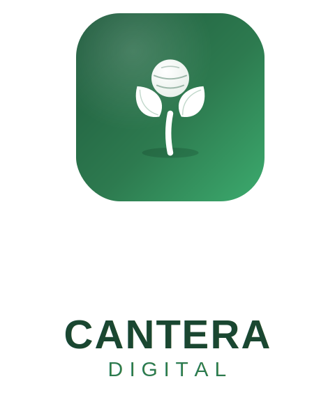 Cantera Digital